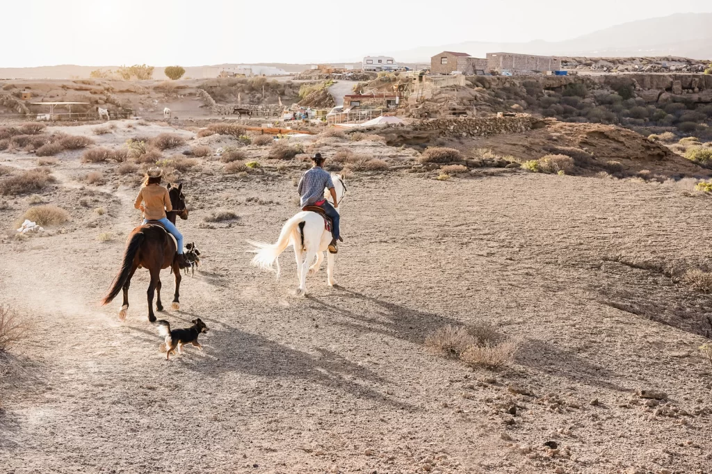 cappadocia horse riding tour